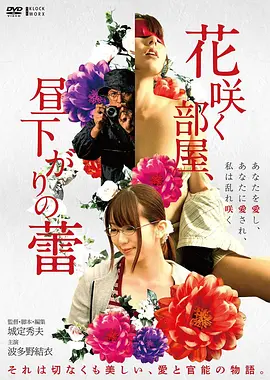 荒漠信使 动作冒险电影在线观看